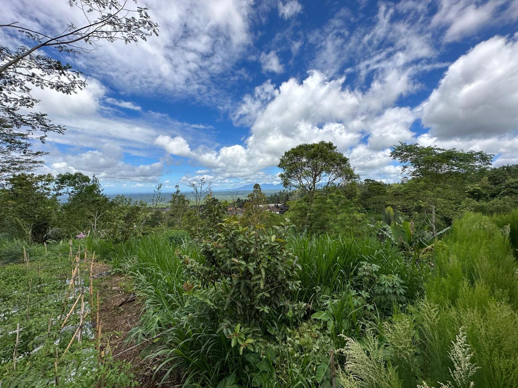 Bali Basuki Retreat Center Daire Besakih Dış mekan fotoğraf