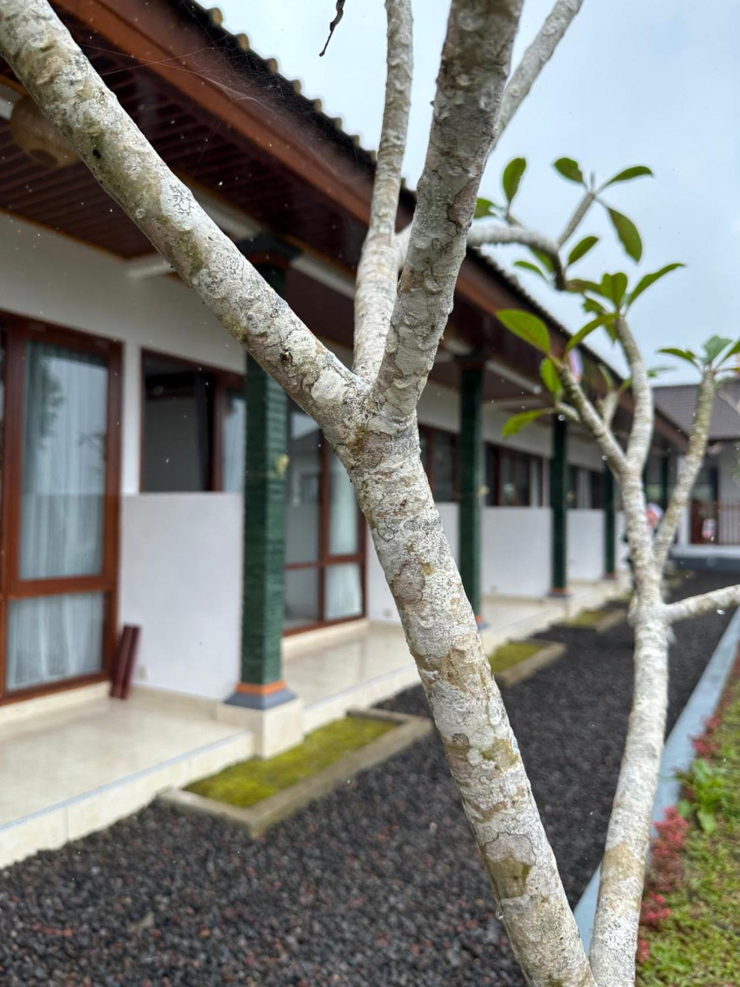 Bali Basuki Retreat Center Daire Besakih Dış mekan fotoğraf