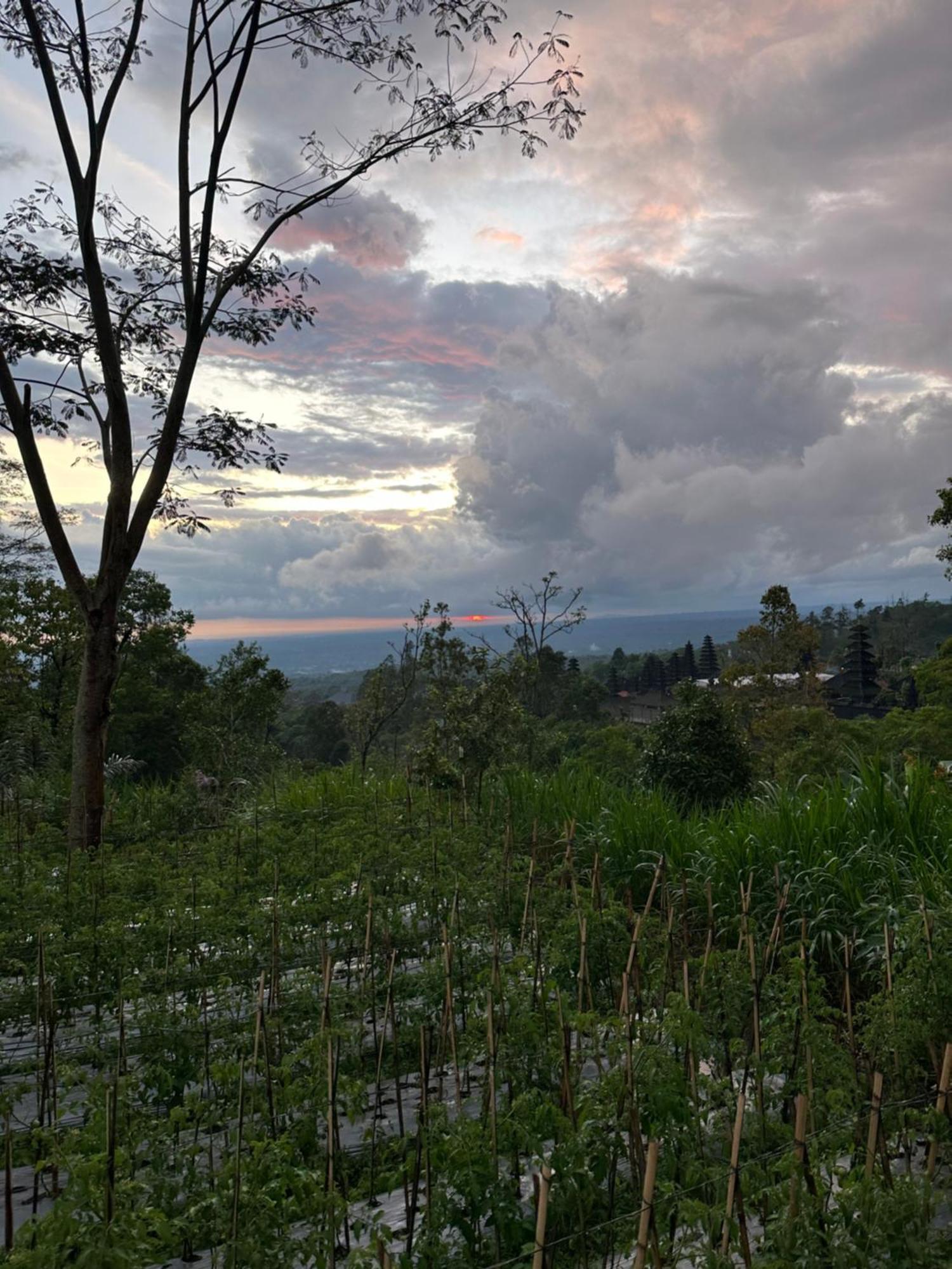Bali Basuki Retreat Center Daire Besakih Dış mekan fotoğraf